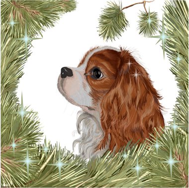 Noel köpek köknar ağacı