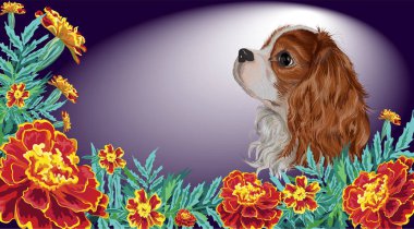 İspanyol köpeği gerçekçi su koyu