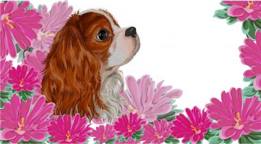 İspanyol köpeği gerçekçi aster