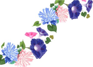 çiçek conw aster kartı hattı