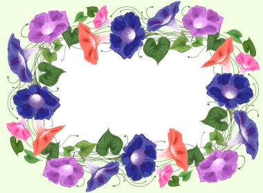 Çerçeve çiçek gündüzsefası