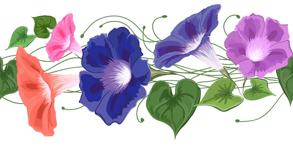 Fırça çiçek gündüzsefası