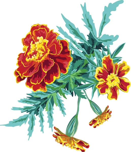 Strauß aus Ringelblumen — Stockvektor