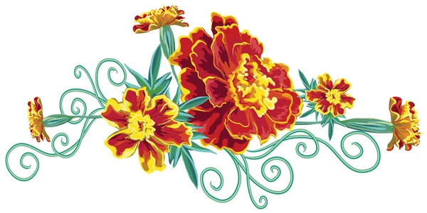 Bouquet aus orangen Ringelblumenblüten, Ringelblumen, Blättern und lockigen Blüten — Stockvektor