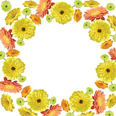 Gerbera çiçekleri-çerçeve için beyaz bir arka plan için tebrikler,