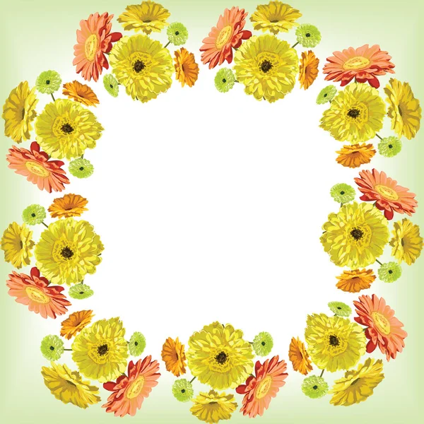 Ζέρμπερες λουλουδιών-πλαίσιο για συγχαρητήρια για ένα απαλά πράσινα και w — Διανυσματικό Αρχείο
