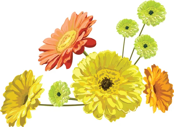 Gerbera Blumen - Grußkarte anmutiger Strauß, gelb, orange — Stockvektor