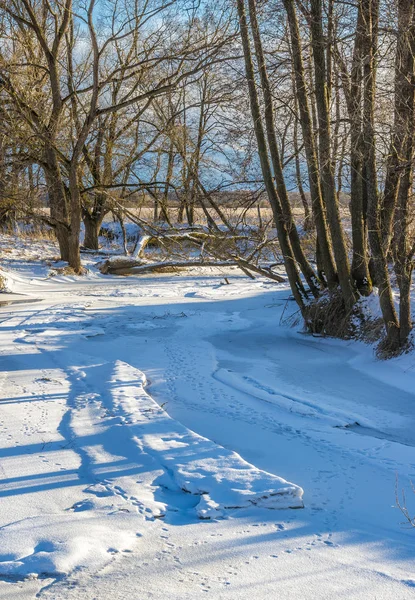 Riviertje in de winter. Kaloega regio, Rusland — Stockfoto