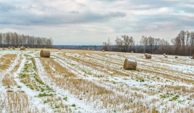Kırsal geç sonbaharda. Rusya
