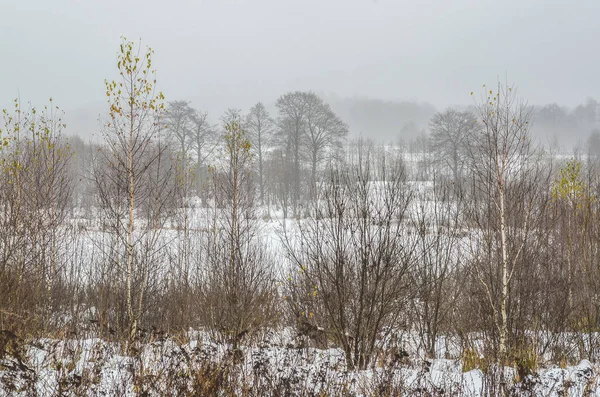 Nebeltag im Winter. Russland — Stockfoto