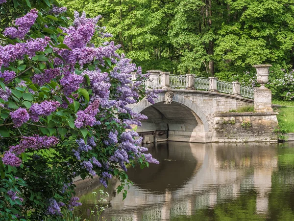 Visconti Bridge w parku Pavlovsk — Zdjęcie stockowe