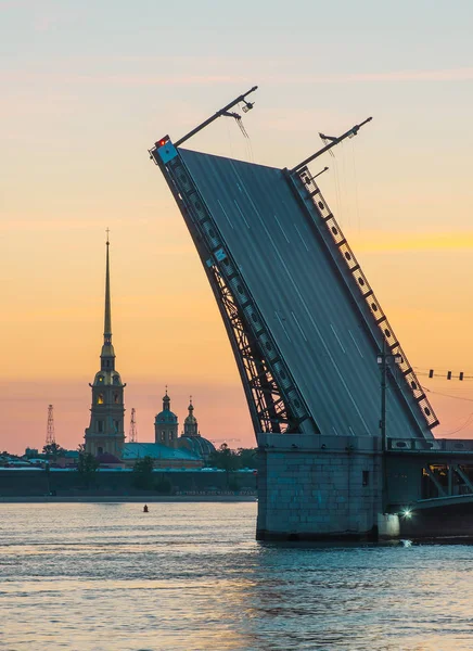 Paleis brug en Petrus en Paulus kathedraal — Stockfoto