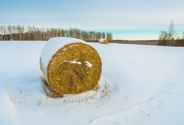 Kışın bir alanda saman rulo