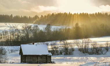 Sarı günbatımı. Muranovo. Moscow region, Rusya Federasyonu