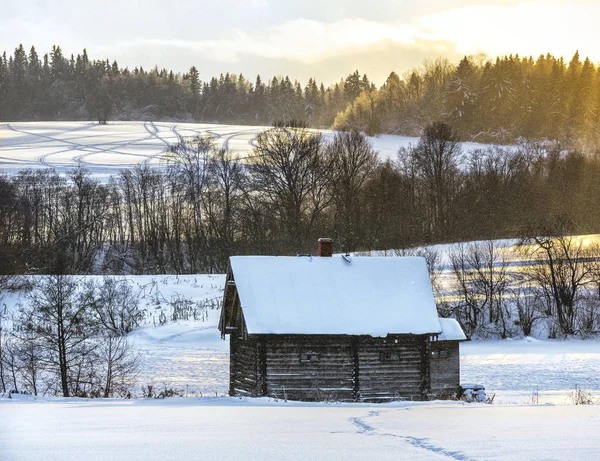 Gul solnedgång. Muranovo. Moscow region, Ryssland — Stockfoto