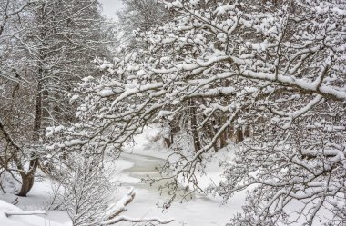 Küçük nehir kış. Kaluga region, Rusya Federasyonu