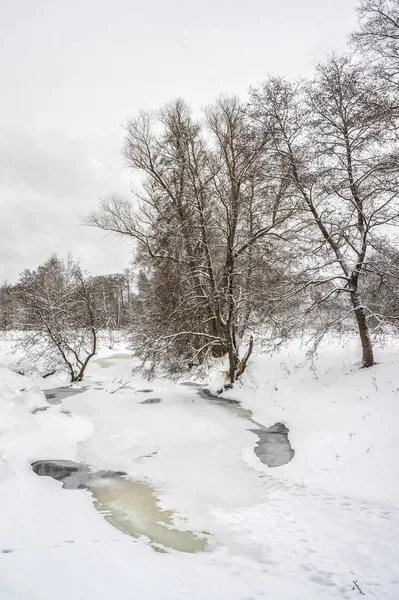Říčka v zimě. Kaluga oblast, Rusko — Stock fotografie