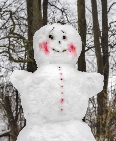 Le bonhomme de neige aux joues rouges contre le tronc des arbres — Photo