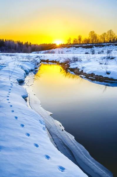 Tramonto d'inverno. Traccia di una volpe lungo il fiume — Foto Stock