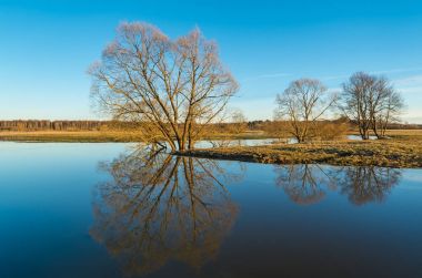 Bahar akşam. Nehir Sukhodrev. Kaluga region, Rusya Federasyonu