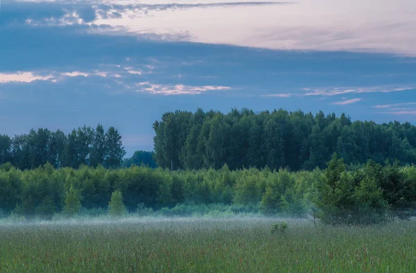 Foggy evening in countryside. Russia — Stock Photo, Image