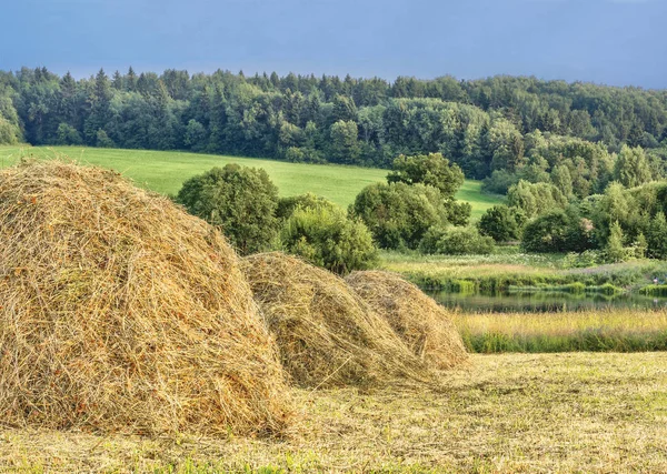 Haystacks. Vista rural na Rússia Central — Fotografia de Stock