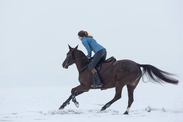Young woman riding horse at winter day