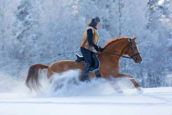 Young woman riding her Don horse through snow on a winter day