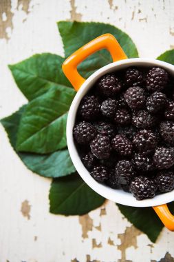 Tam blackboy plaka bir eski ahşap arka plan üzerinde duruyor yakın çekim