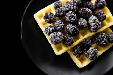 Siyah bir zemin üzerine donmuş böğürtlen ile Belçika gofret yakın çekim