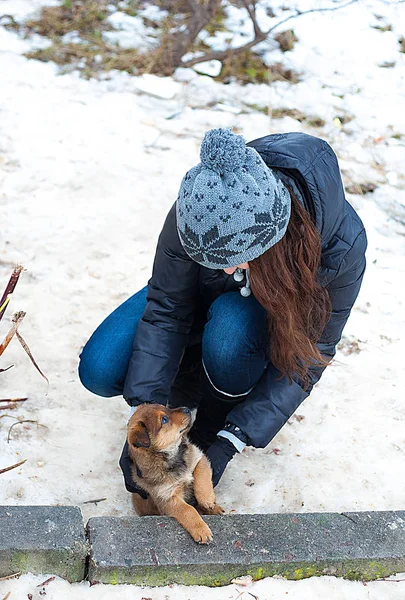 Счастливая девочка играет с щенком на улице зимой . — стоковое фото