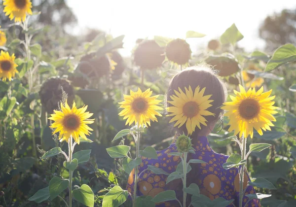 Junge Frau mit Sonnenblume in der Hand. zurück — Stockfoto