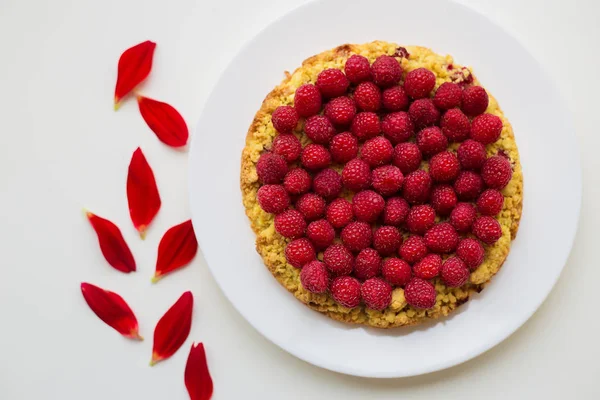 Torta di lampone lucente su un piatto — Foto Stock