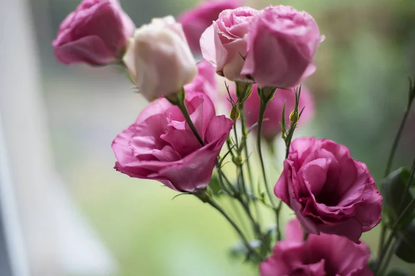 Hermoso ramo de flores de color rosa brillante eustoma — Foto de Stock