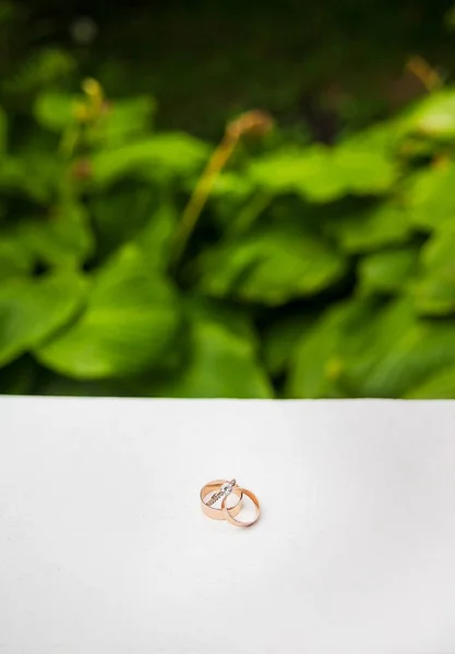 Anéis de casamento nas rochas perto da grama — Fotografia de Stock