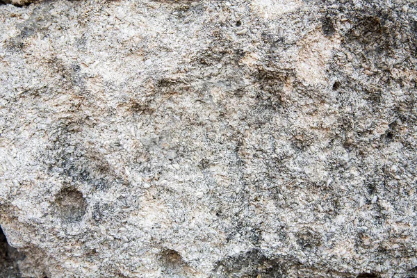Costa bagnata mare di pietra sullo sfondo — Foto Stock