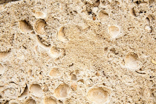Surface of the old antique brown stone — Stock Photo, Image