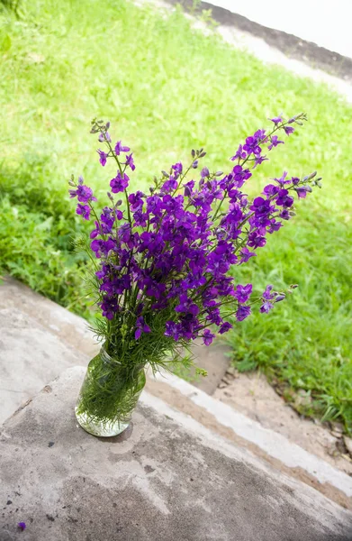 Fiore viola in vaso — Foto Stock