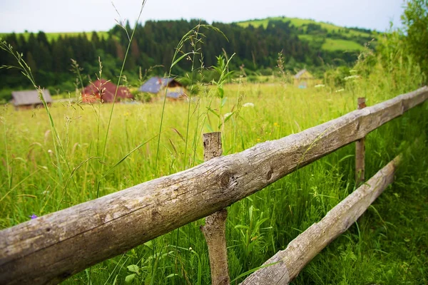 Karpaterna natur på sommaren — Stockfoto