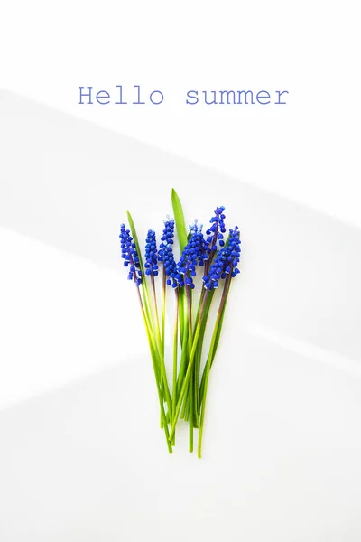 Schöne Komposition - blaue Muscari liegen auf weißem Tisch mit der Aufschrift hallo Sommer — Stockfoto