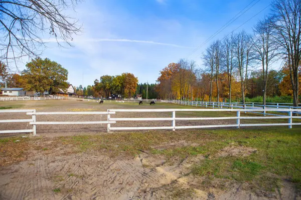 Trävitt staket på ett grönt fält. Vacker blå himmel. Hästar betar. — Stockfoto