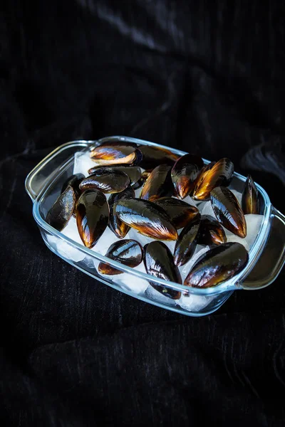 Very tasty and fresh mussels on ice cubes. — Stock Photo, Image
