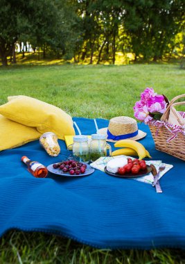Parlak yaz pikniği