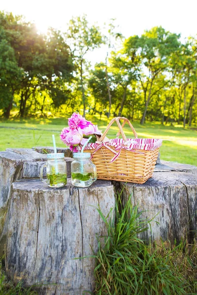 Luminoso picnic estivo — Foto Stock