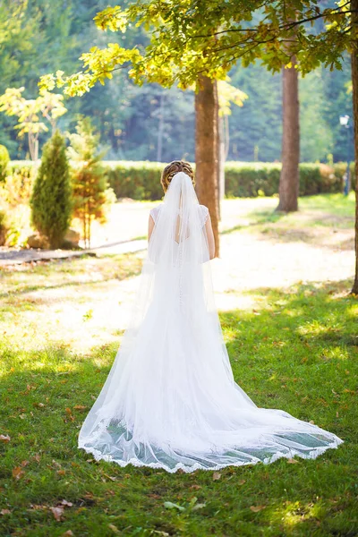 Bride in beautiful dress standing with her to nature — Stock Photo, Image