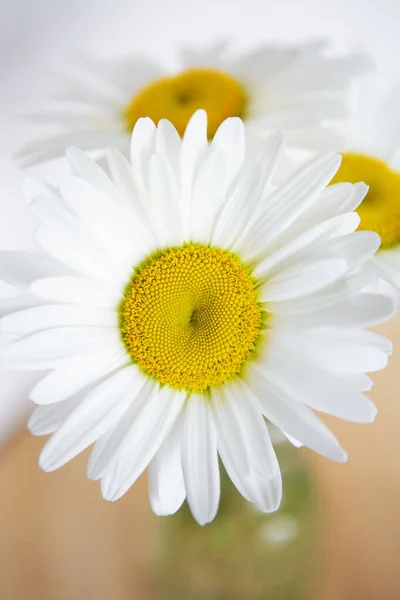 Chamomile flowers in a vase on a wooden table. Flat lay, top view. — Stock Photo, Image