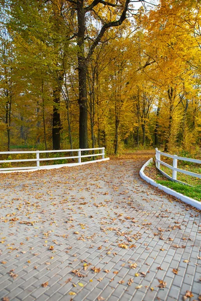 아름다운 공원. 황금빛 가을. 나무로 만든 흰 울타리. — 스톡 사진