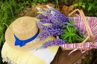 Bir şapka, bir ekose ve bir buket lupine ormanda bir kütüğün üzerinde, yakın plan.