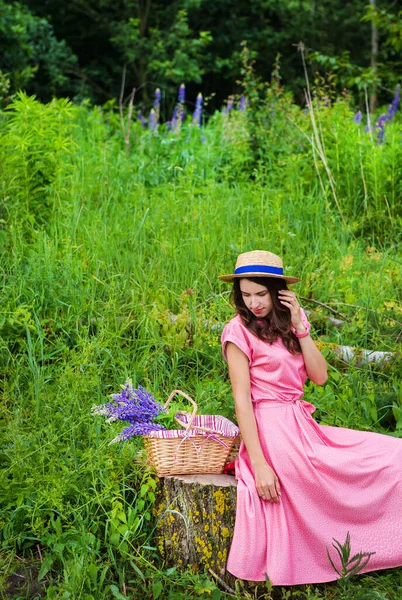 Krásná dívka v krásných šatech sedí na pařezu v lese, kytice lupinů v košíku — Stock fotografie