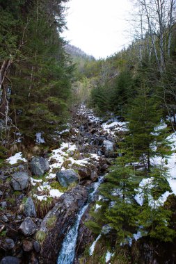 Zakopane Im Polonya yakınlarındaki Polonya Tatra dağlarında Güzel şelale Wodogrzmoty Mickiewicza.